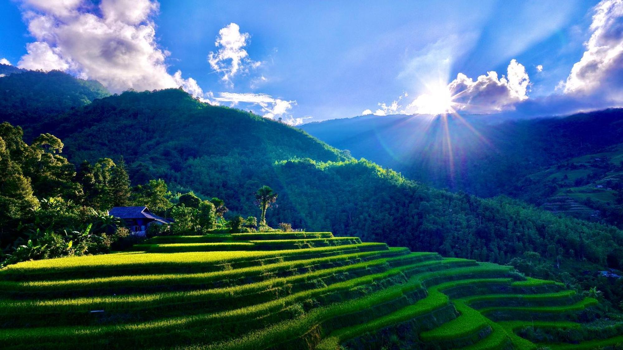 Thavill Retreat Hagiang Leilighet Ha Giang Eksteriør bilde