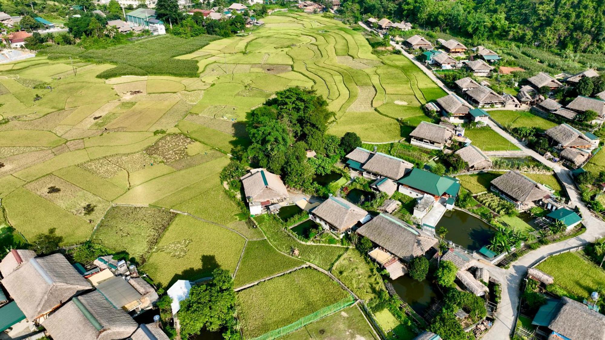 Thavill Retreat Hagiang Leilighet Ha Giang Eksteriør bilde