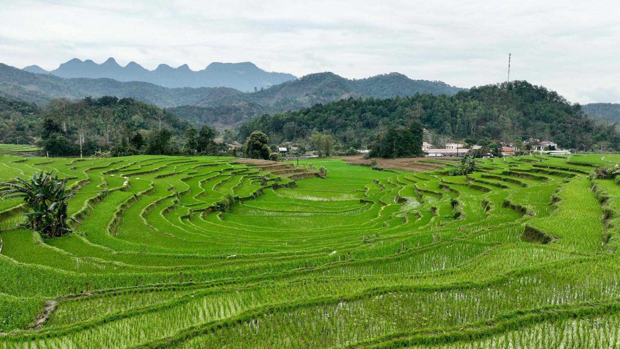 Thavill Retreat Hagiang Leilighet Ha Giang Eksteriør bilde