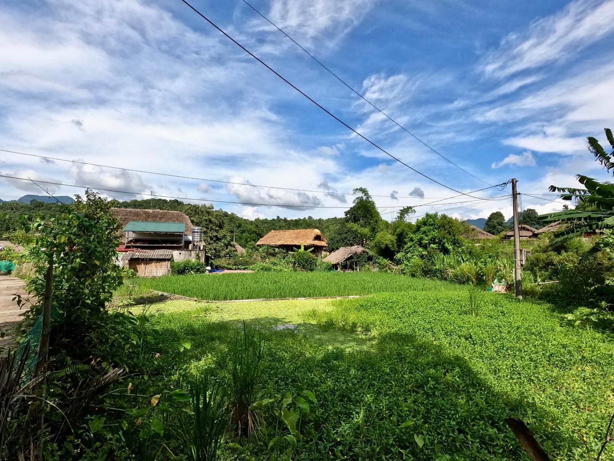 Thavill Retreat Hagiang Leilighet Ha Giang Eksteriør bilde